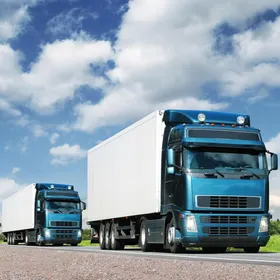 Camiones de transporte de carga en logística
